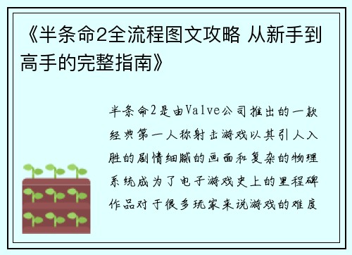 《半条命2全流程图文攻略 从新手到高手的完整指南》